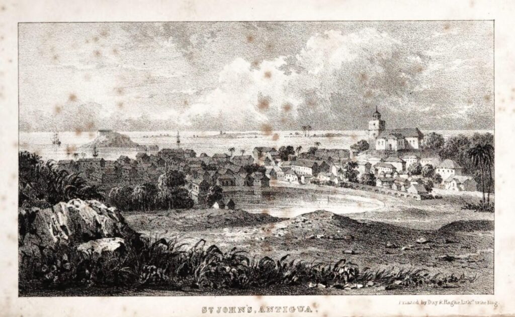 Country Pond